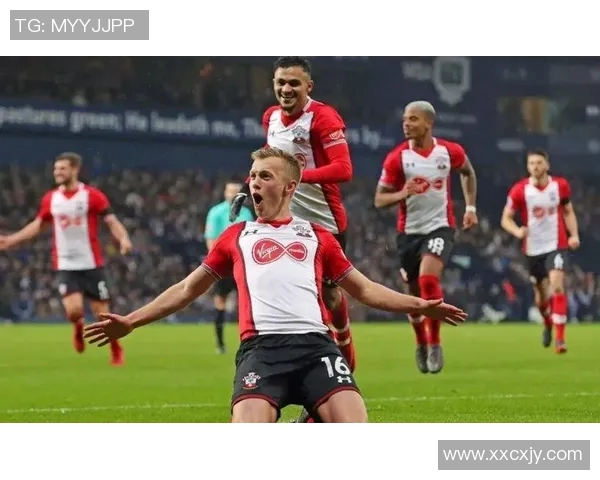 拜仁慕尼黑对阵波尔图新浪赛事分析与精彩瞬间回顾