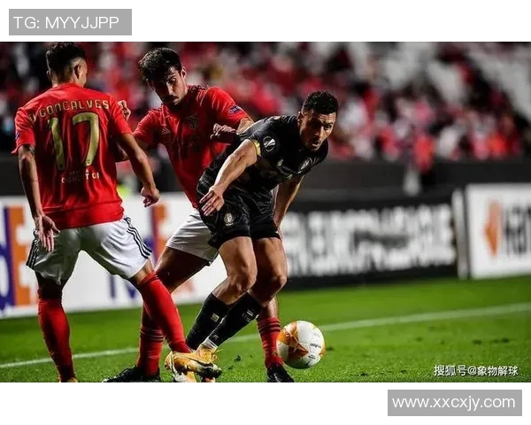 本菲卡迎战波尔蒂芒人期待精彩对决双方争夺胜利的激烈较量