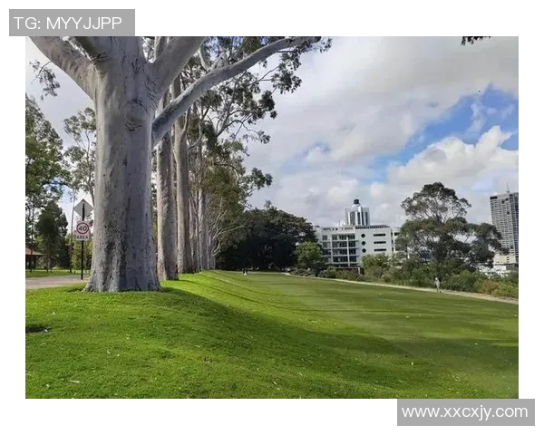 悉尼国王与珀斯野猫的激烈对决揭示澳大利亚篮球联赛的精彩瞬间与未来潜力