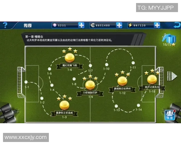 谢什科的传奇旅程与足球世界的辉煌成就分析 谢什科的传奇旅程与足球世界的辉煌成就分析