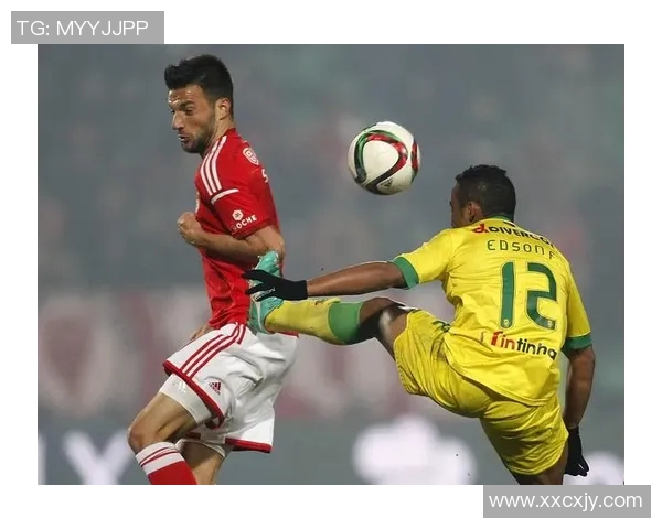 意大利与瑞典比赛盘路分析及投注策略探讨