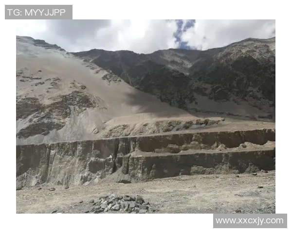 深度对话：探索陈秀英在英雄联盟中的成长与挑战之路