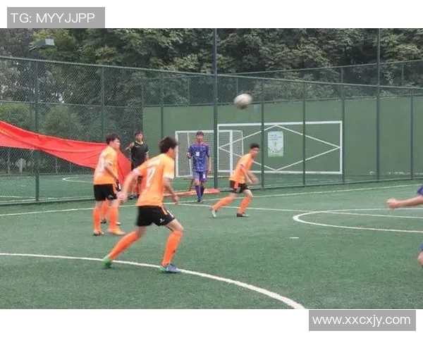 南京排球队的蜕变之旅：从传统到现代的排球纪实探索