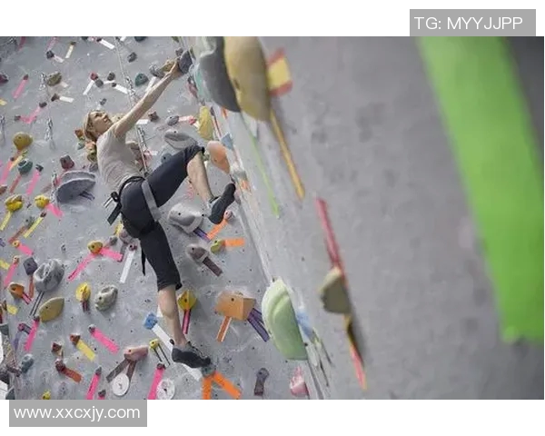 上海攀岩队运营分析与反思：成功经验与面临挑战的全面探讨