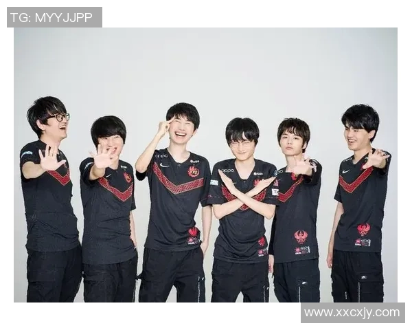 深入解析FPX战队实力表现与数据分析的背后故事