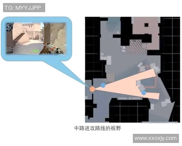 杭州排球队的整体压制解析与战术深度探讨